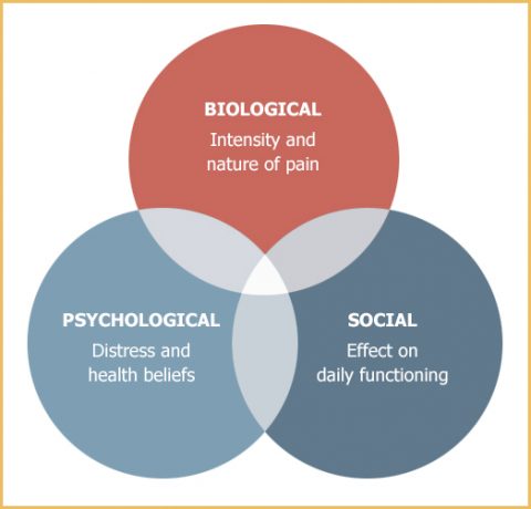 Bio-psychosocial Evaluations – Universal Therapeutic Serivces, Llc