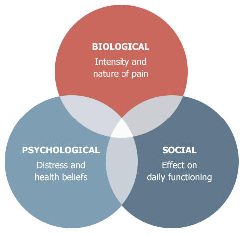 ev5-ven https://universaltherapeuticservices.com/wp-content/uploads/2025/01/ev5-ven.jpg